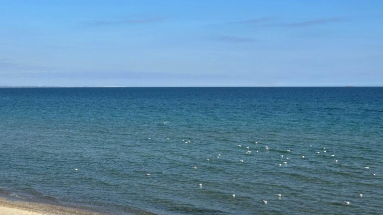 Кіпер підписав наказ про відкриття пляжів в Одесі: перелік безпечних локацій