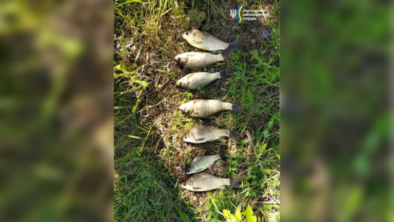 На Херсонщині за тиждень виявили шість порушень правил рибальства