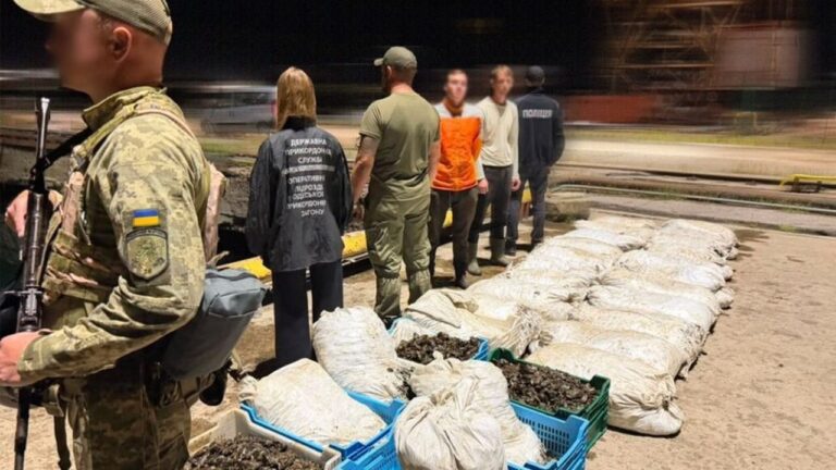 На Одещині браконьєри наловили 62 тис мідій: збитки перевищили 211 тис грн