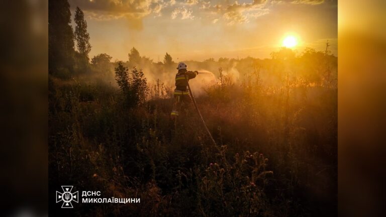 Під Миколаєвом загорілося Балабанівське урочище: вогонь охопив два гектари лісу