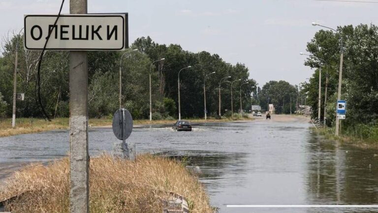 В ООН заявили про критичну нестачу продуктів в окупованих Олешках