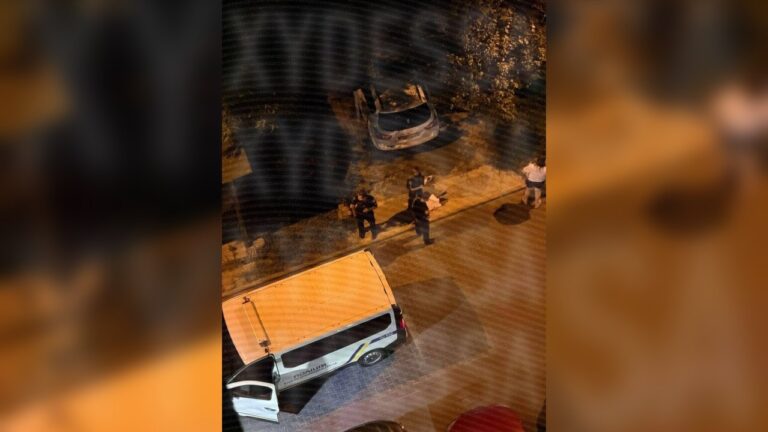 В Одесі перевіряють повідомлення про побиття собаки після втечі її господаря від ТЦК
