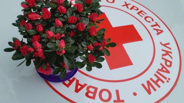На Херсонщині загинули сапери NPA: Червоний Хрест звернувся із заявою