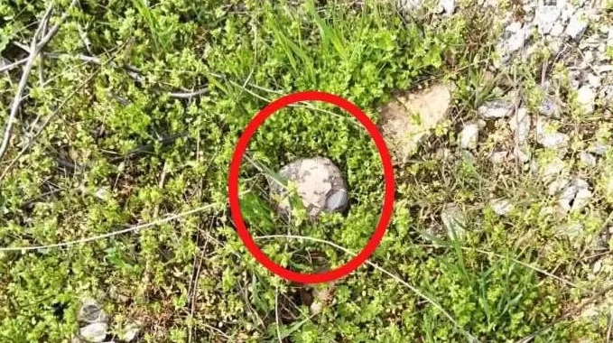 У Херсонській області поліція виявила міни на Бериславському шосе