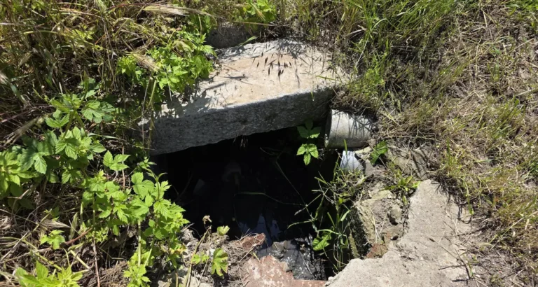 Влада Одеси вирішила оновити систему водовідведення після скарг мешканців