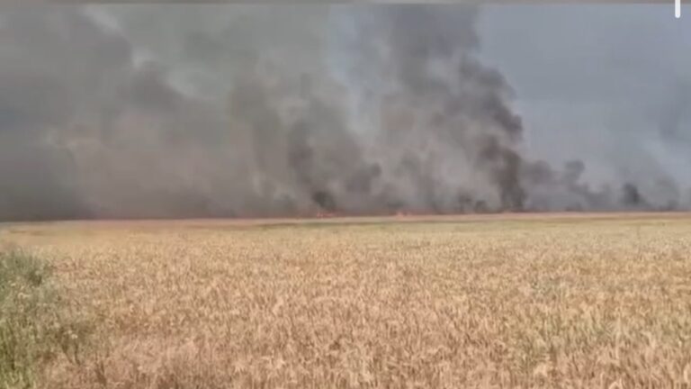На Запоріжжі біля Біленького загорілося пшеничне поле