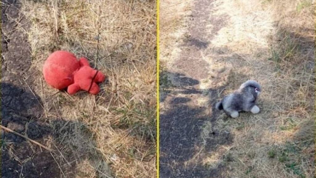 Зображення новини