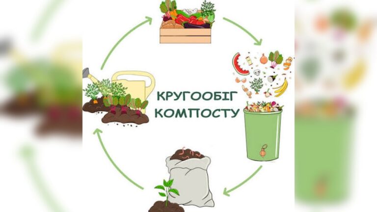 У Херсонській громаді 250 родин безкоштовно отримають набори для компостування