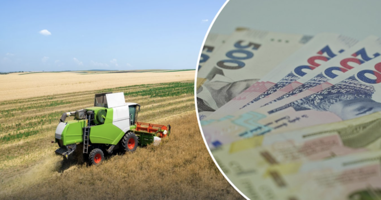 Уряд України виплатить компенсації фермерам за незібрані через удари РФ посіви