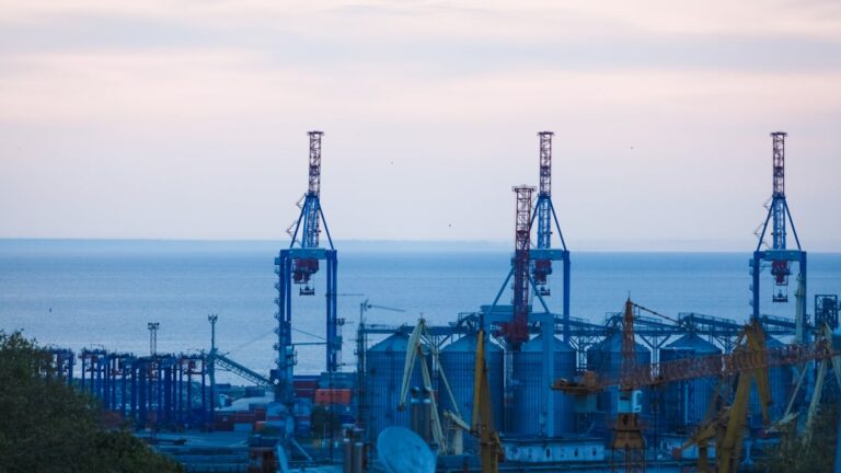 У Миколаєві відклали проєкт зернового терміналу на 4 млн тонн
