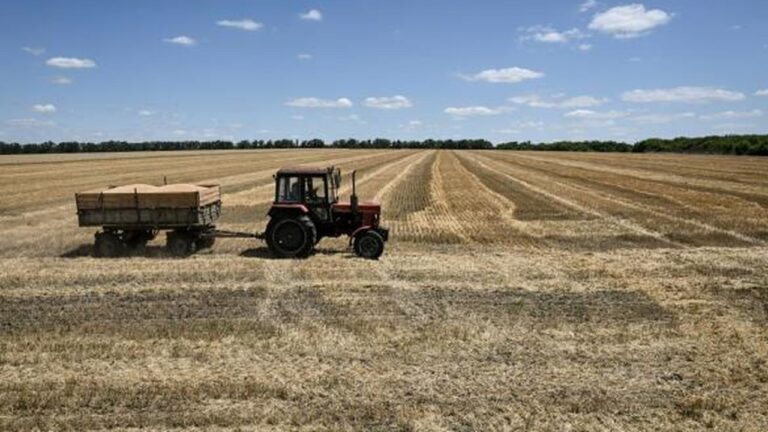 На Запоріжжі через російські атаки фермери змінюють підхід до продажу зерна