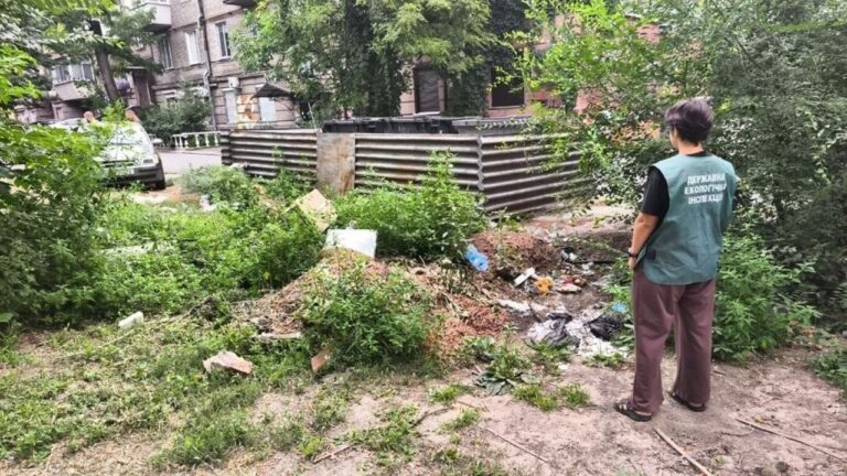 У центрі Запоріжжя виявили два стихійні смітники