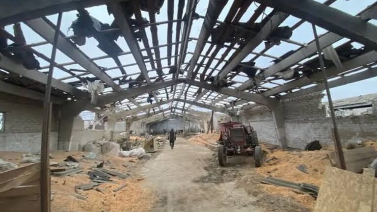 Росія атакувала фермерське господарство на Миколаївщині: постраждали двоє чоловіків