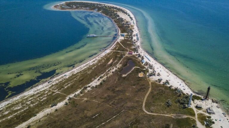 На Джарилгачі через війну вигоріло близько тисячі га заповідної території