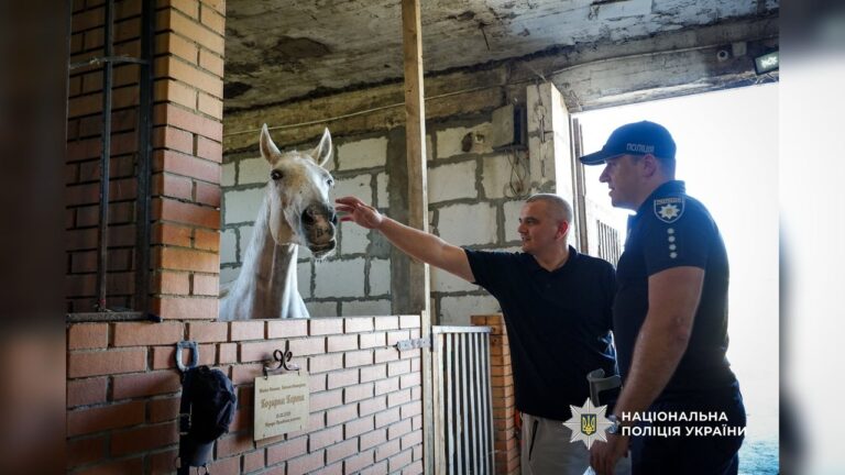 Іпотерапія для ветеранів: в Одесі організували реабілітаційний захід для поранених