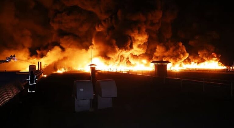 Обстріли “Сандори” на Миколаївщині завдали довкіллю майже 3 млн грн збитків