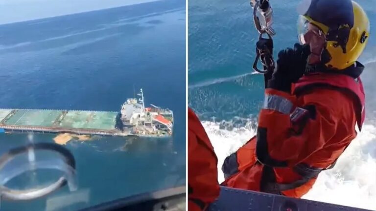 У Чорному морі після ймовірного удару дрона затонуло судно із зерном