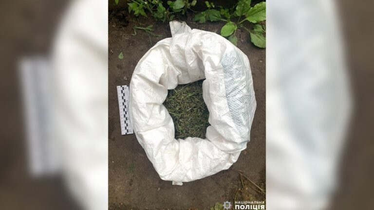 На Миколаївщині чоловіка засудили до дев’яти років за збут наркотиків і погрози поліцейським