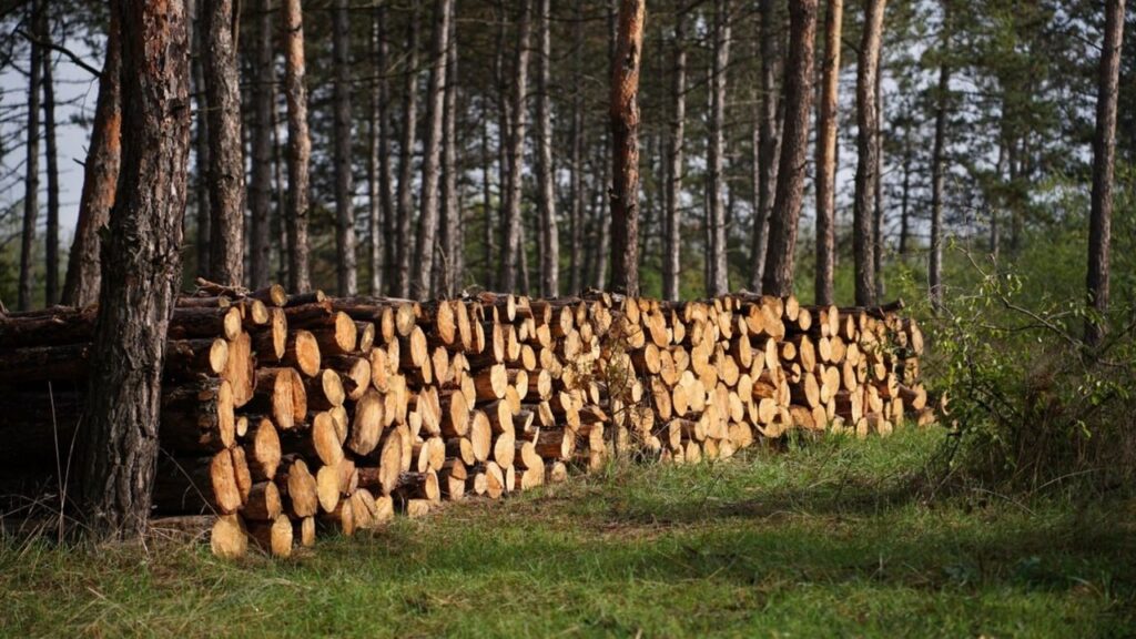 Зображення новини